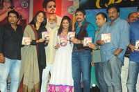 Greeku Veerudu Audio Release Photo Gallery